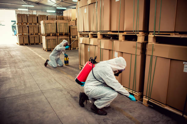 Professional Pest Control in Chapel Hill, TN