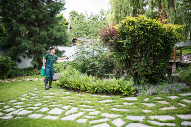 Best Best Pest Control Companies  in Chapel Hill, TN