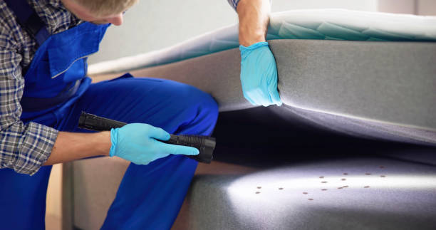 Best Ant Control Services  in Chapel Hill, TN