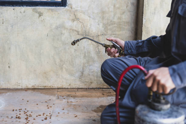 Best Commercial Pest Control Services  in Chapel Hill, TN
